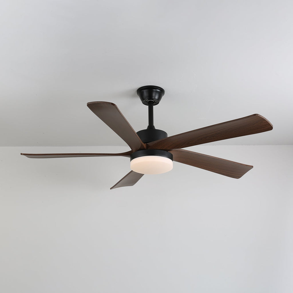 Auralin Contemporary Artisan Ceiling Fan Light