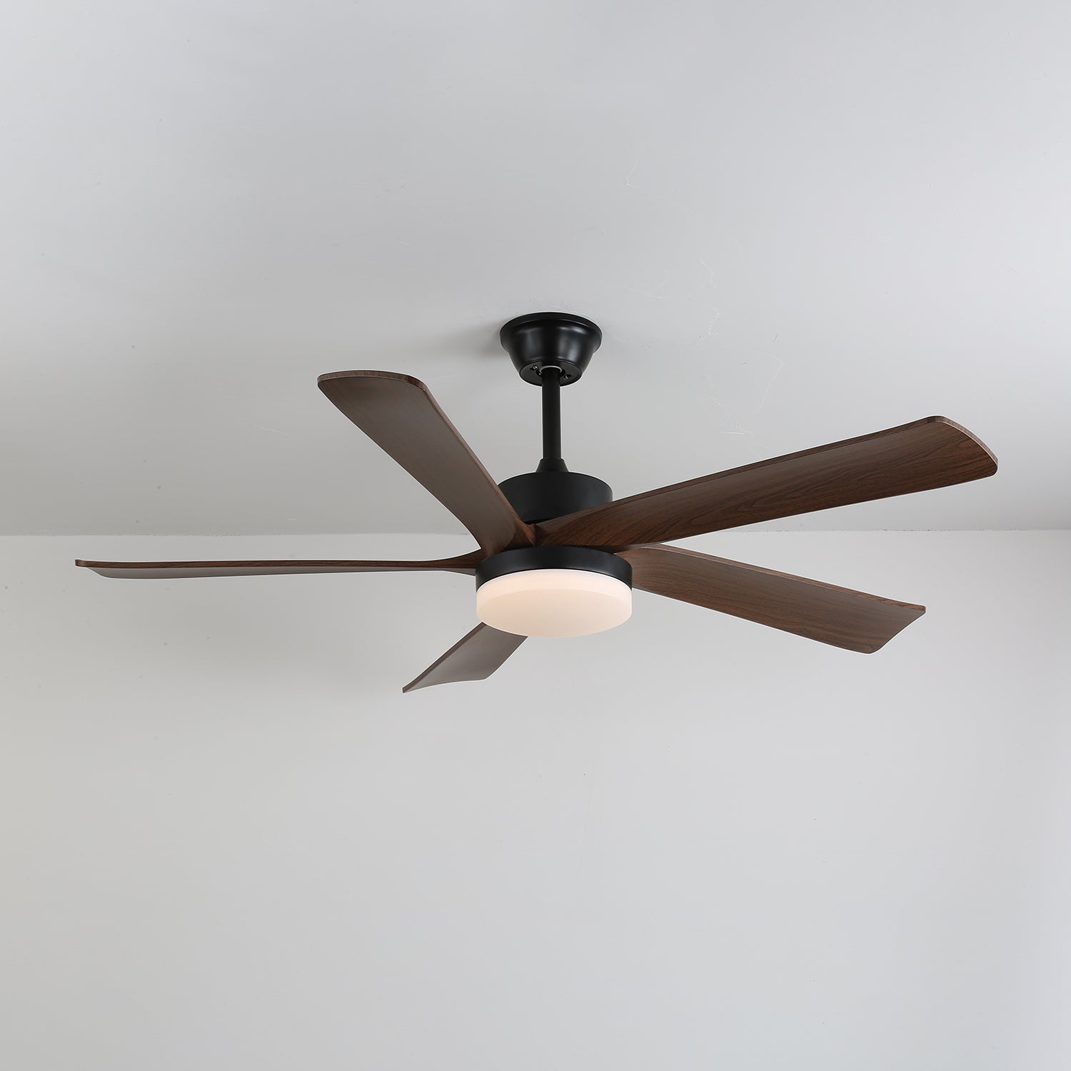 Auralin Contemporary Artisan Ceiling Fan Light