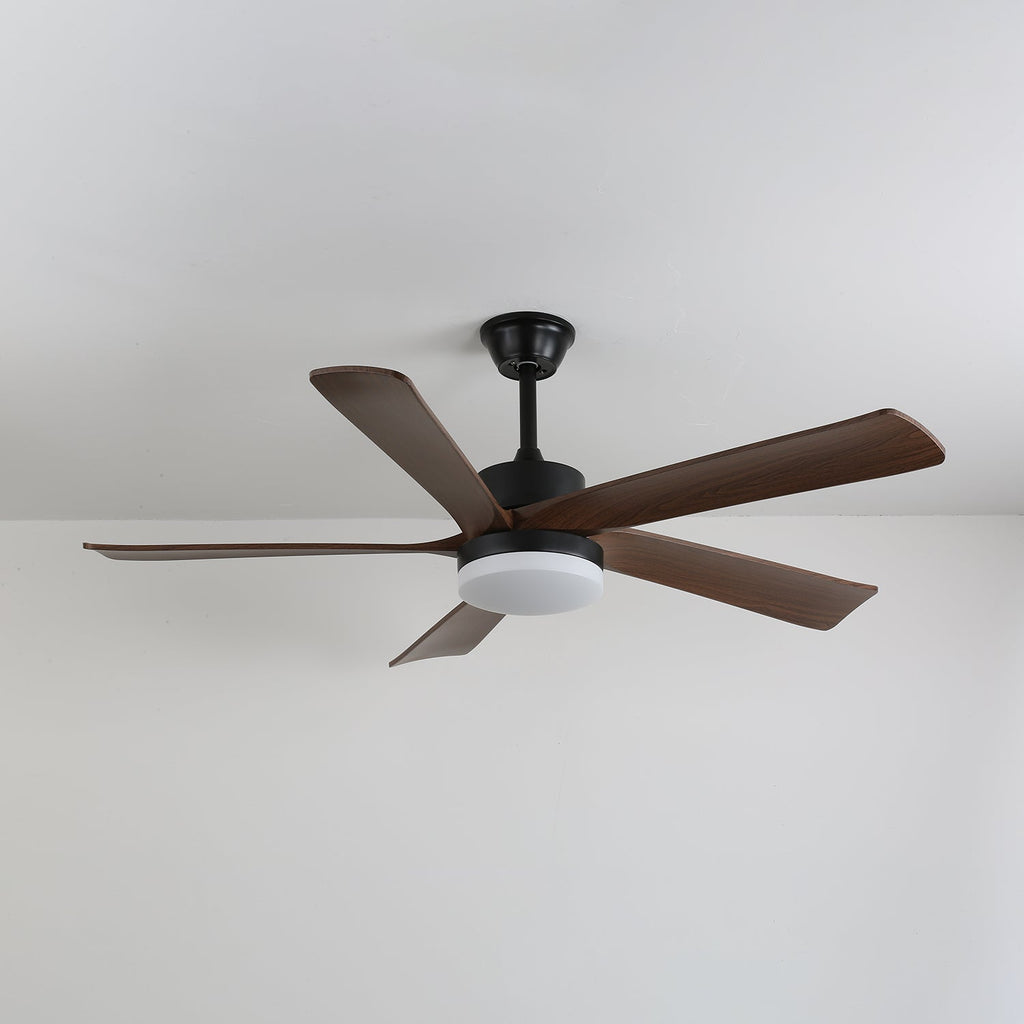 Auralin Contemporary Artisan Ceiling Fan Light