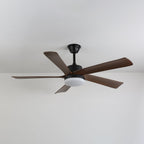 Auralin Contemporary Artisan Ceiling Fan Light