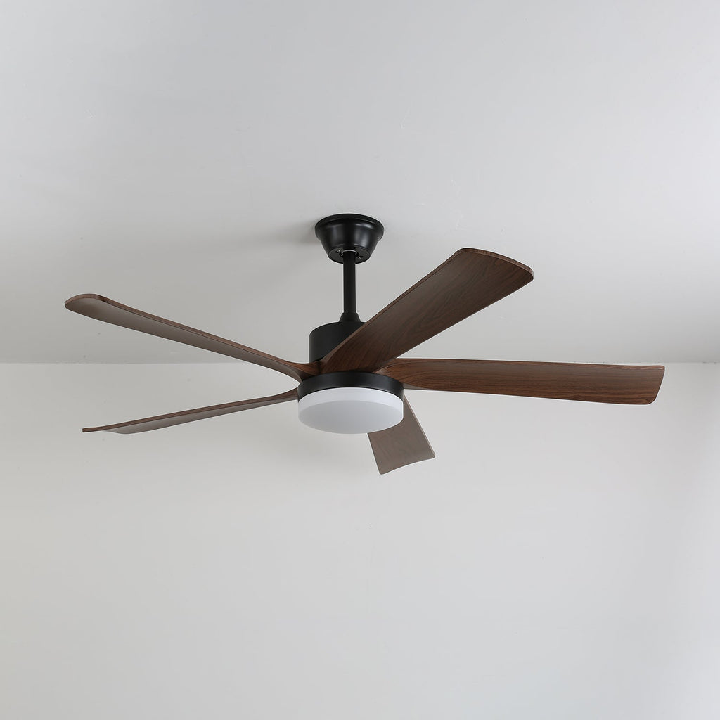 Auralin Contemporary Artisan Ceiling Fan Light