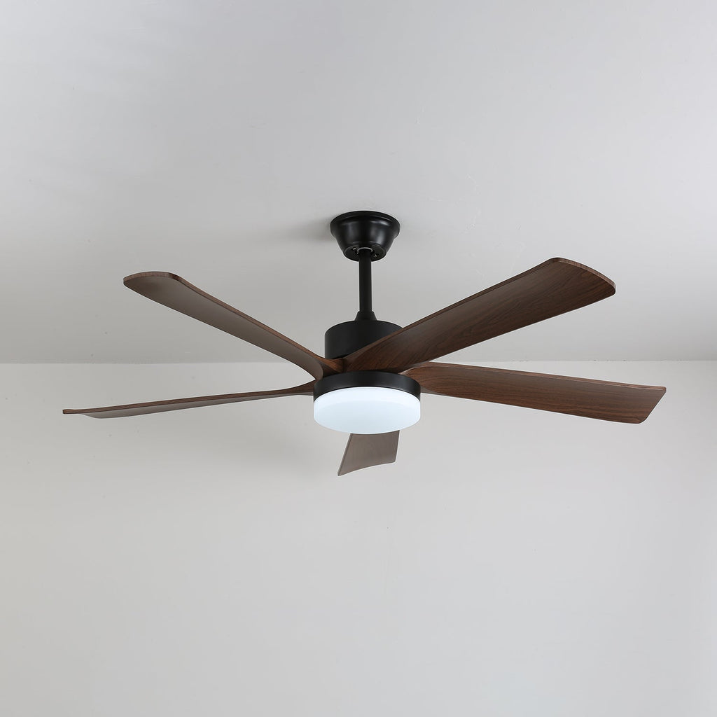 Auralin Contemporary Artisan Ceiling Fan Light