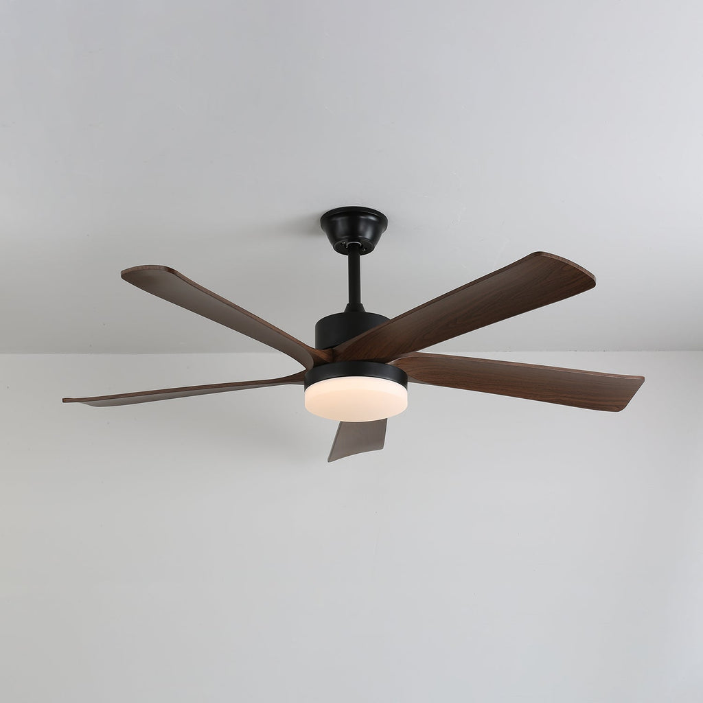 Auralin Contemporary Artisan Ceiling Fan Light