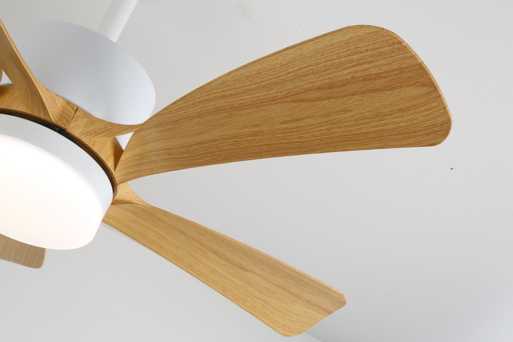 Avenli Minimal Wood Halo Ceiling Light