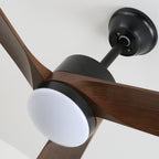 Averso Contemporary Luxe Ceiling Fan Light