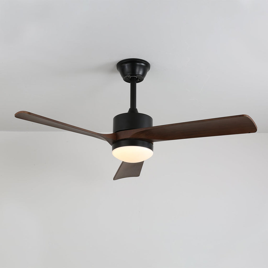 Averso Contemporary Luxe Ceiling Fan Light