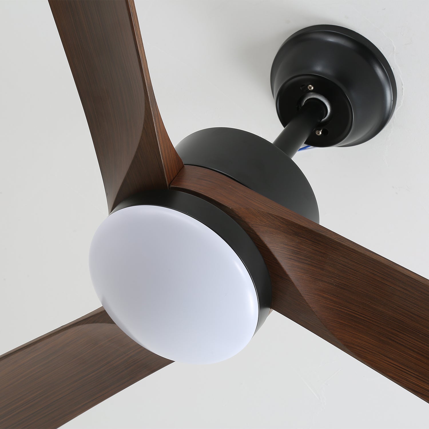 Averso Contemporary Luxe Ceiling Fan Light