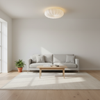 Bobby Modern Flush Mount Ceiling Light