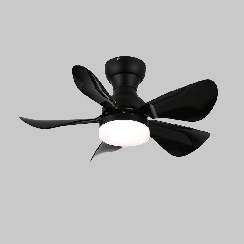 Arilia Modern Walnut Blade Flush Fan Light