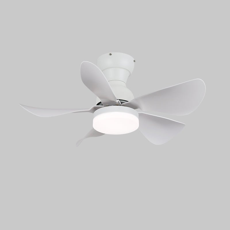 Arilia Modern Walnut Blade Flush Fan Light
