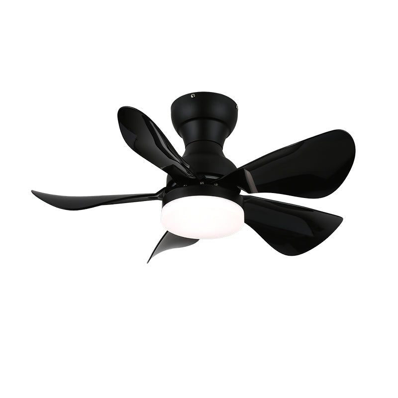 Arilia Modern Walnut Blade Flush Fan Light
