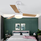 Breeze Minimal Modern Ceiling Fan Light