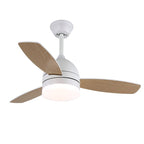 Breeze Minimal Modern Ceiling Fan Light