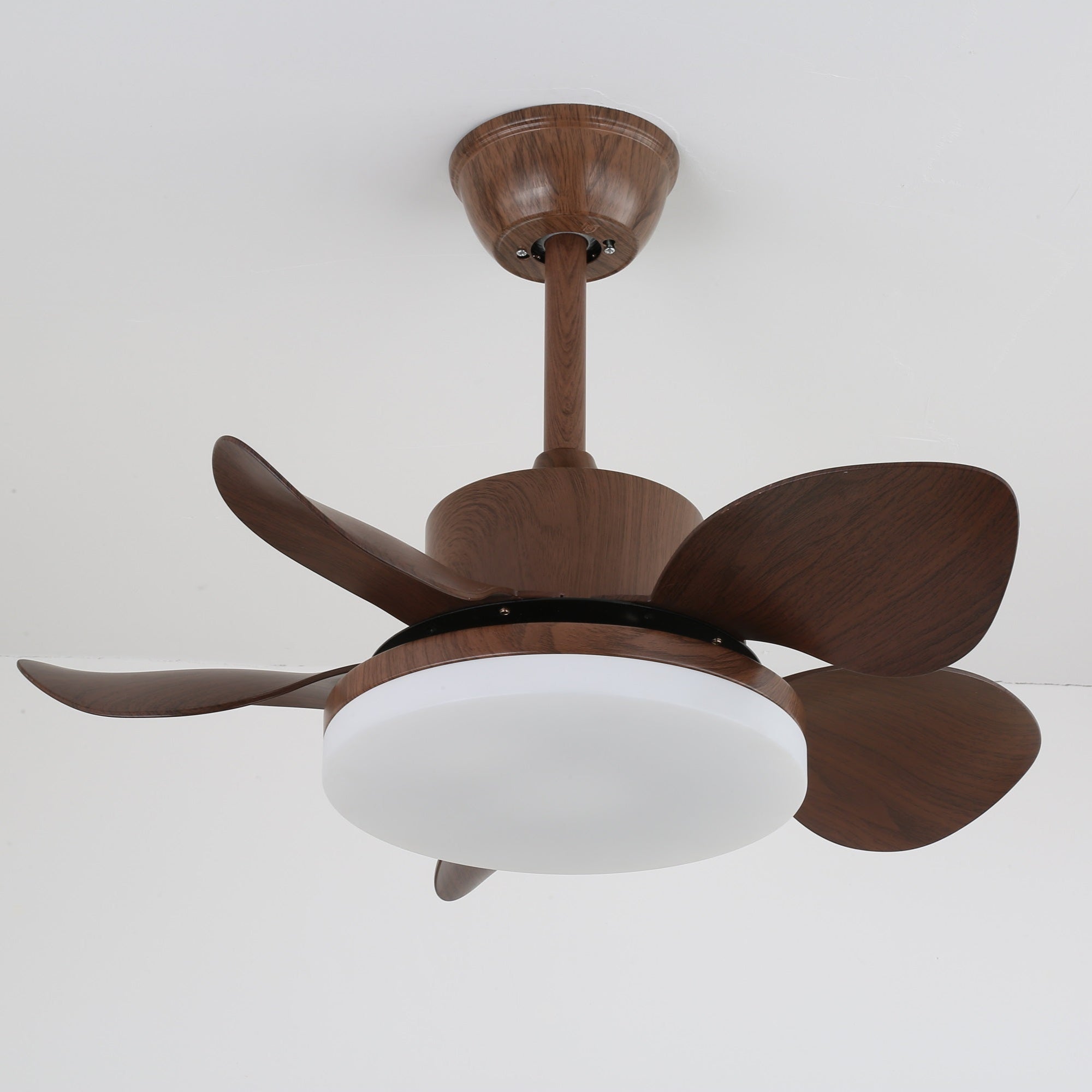 Terra Sculpted Walnut Blade Ceiling Fan Light