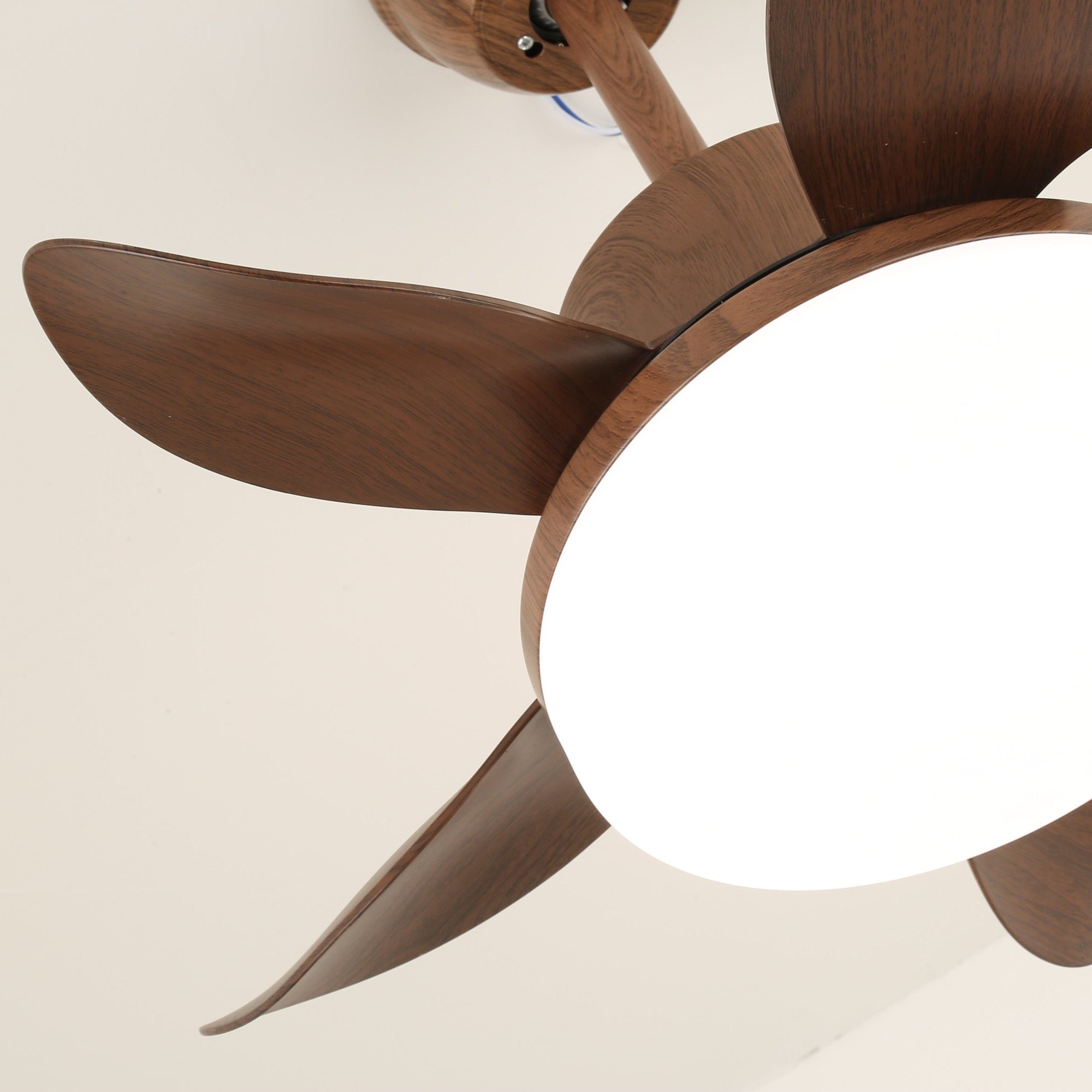 Terra Sculpted Walnut Blade Ceiling Fan Light