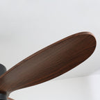 Caldor Rustic Luxe Cage Ceiling Fan Light