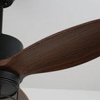 Caldor Rustic Luxe Cage Ceiling Fan Light