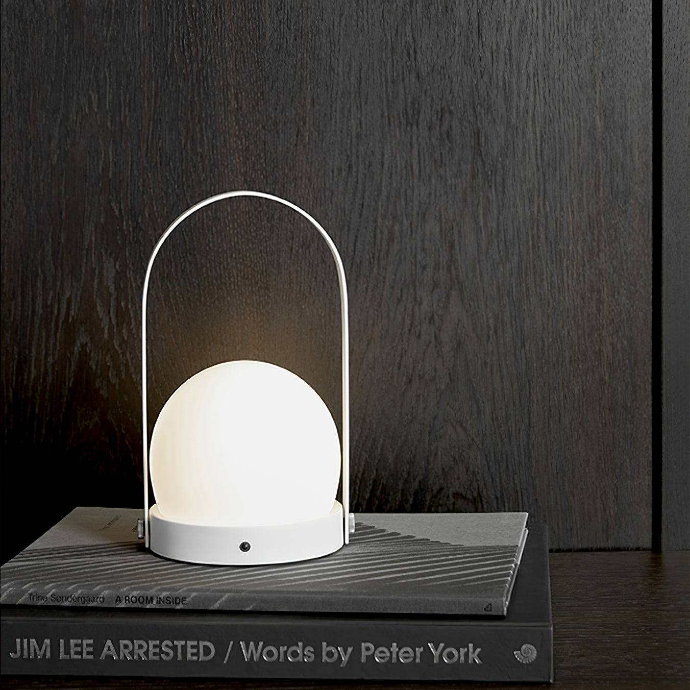 Arc Sculpted Table Lamp