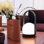 Arc Sculpted Table Lamp