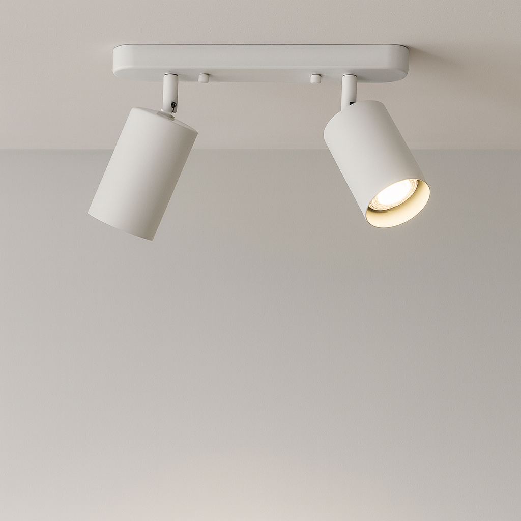 Rotatable 2 Head Spot Ceiling Light