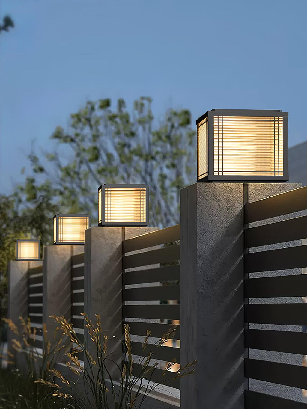 Solis Glass Box Light