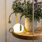 Dome Orbit Portable Lamp