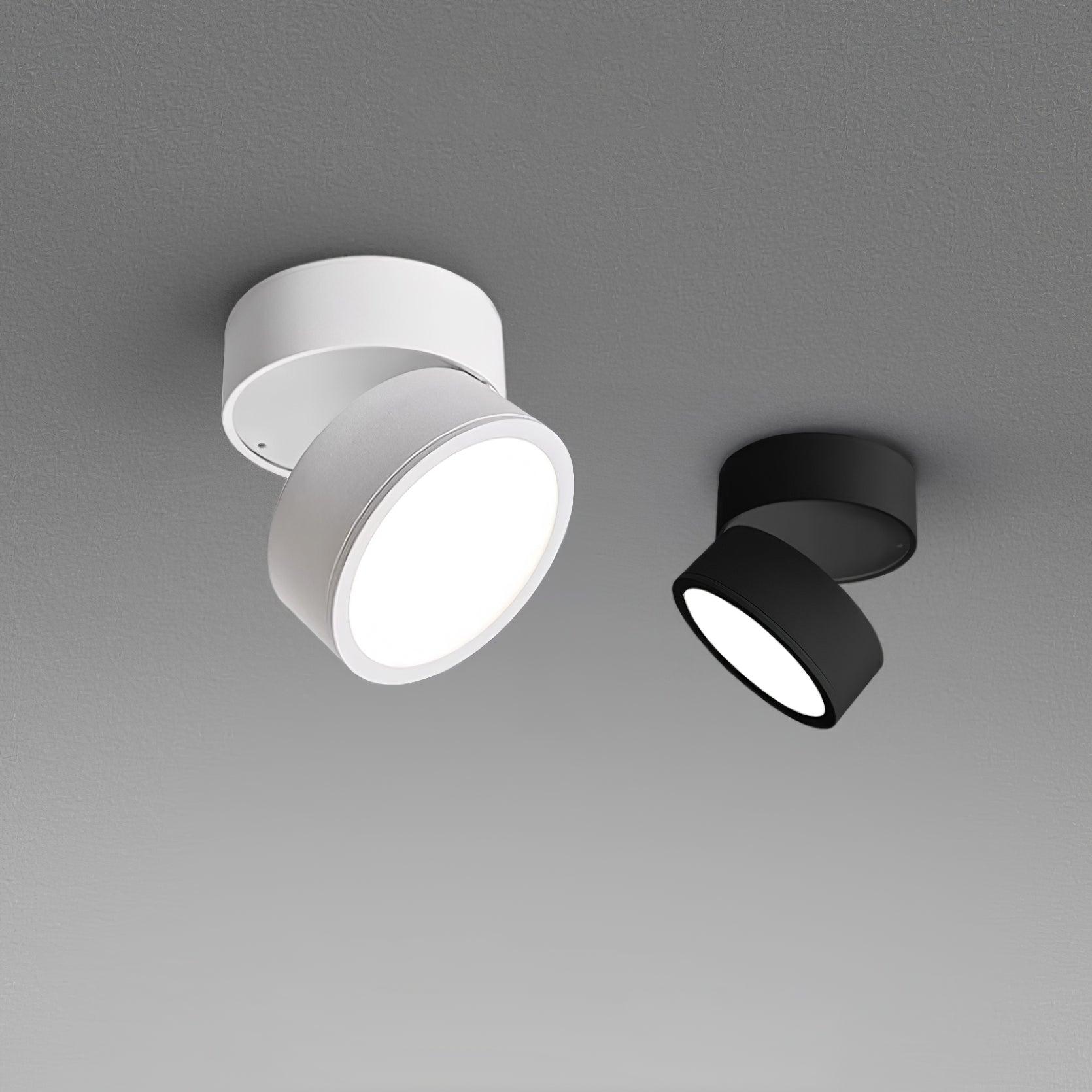 (2 pack) Surface Ceiling Light