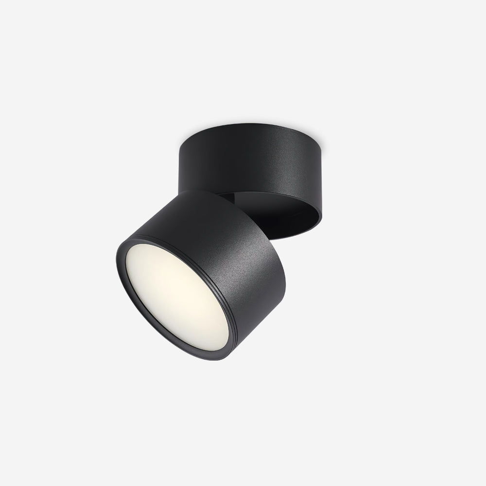 Favilla Surface Recessed Light