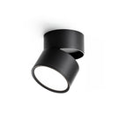 Favilla Surface Recessed Light