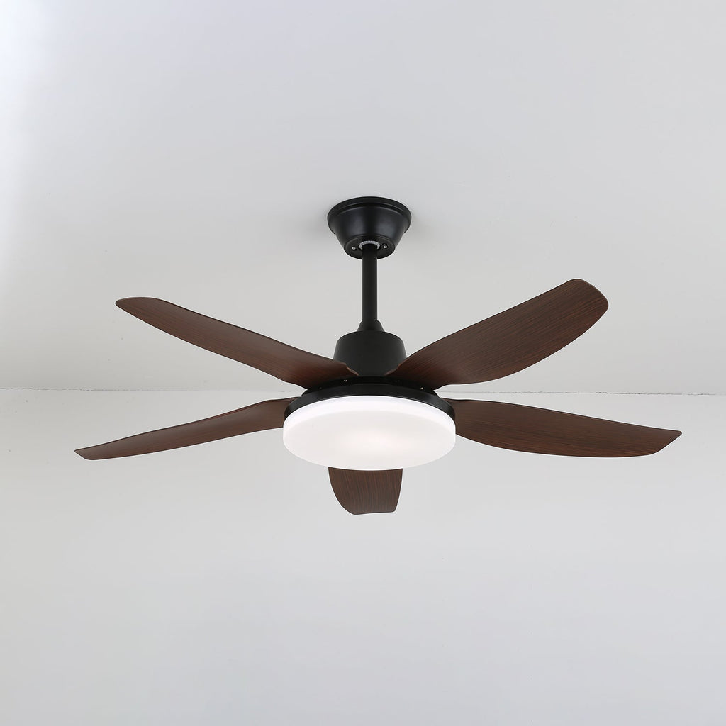 Felix Aerodynamic Luxe Ceiling Fan Light