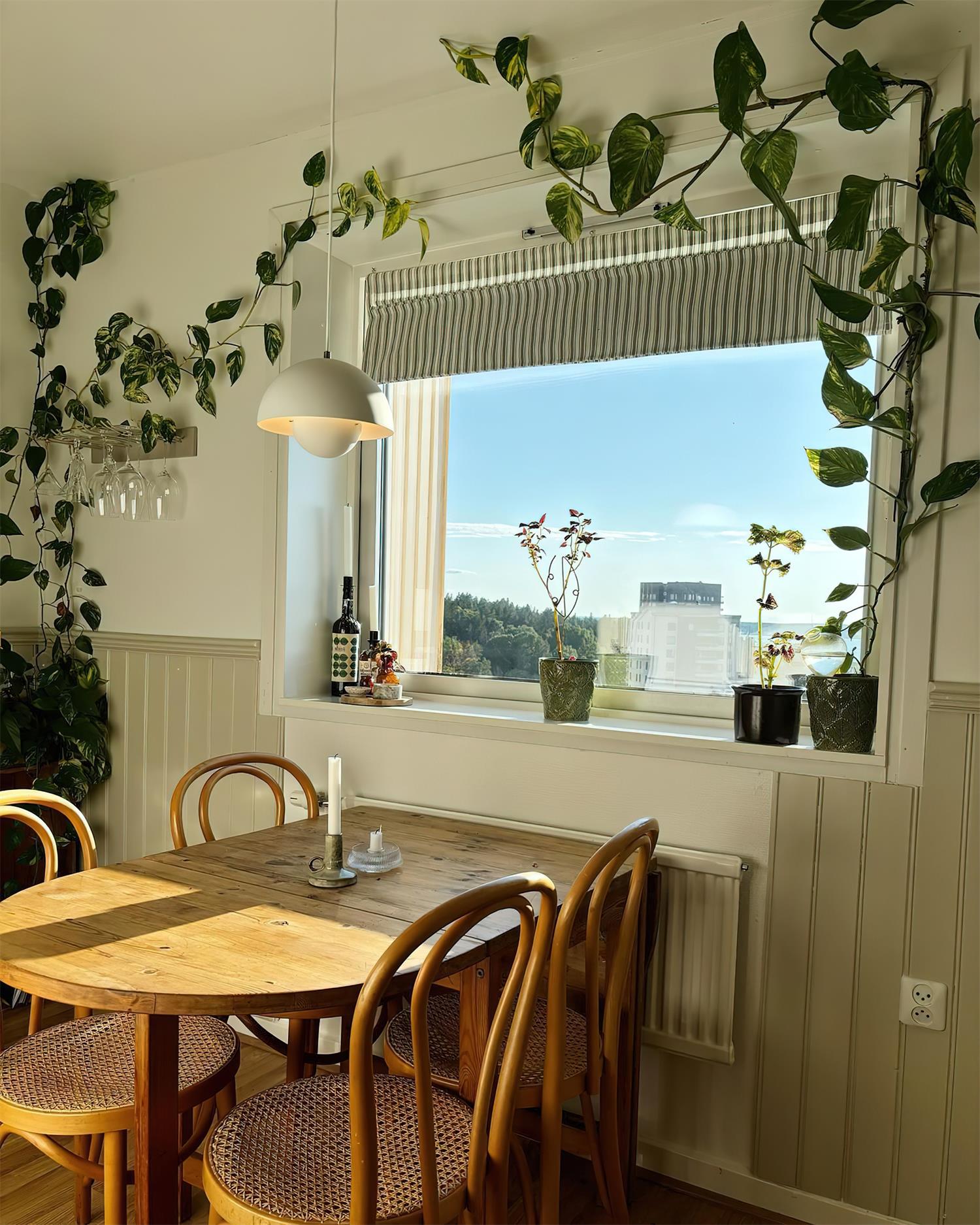Flowerpot Halo Dome Pendant Light