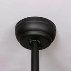 Vintage Black Industrial Ceiling Fan Light