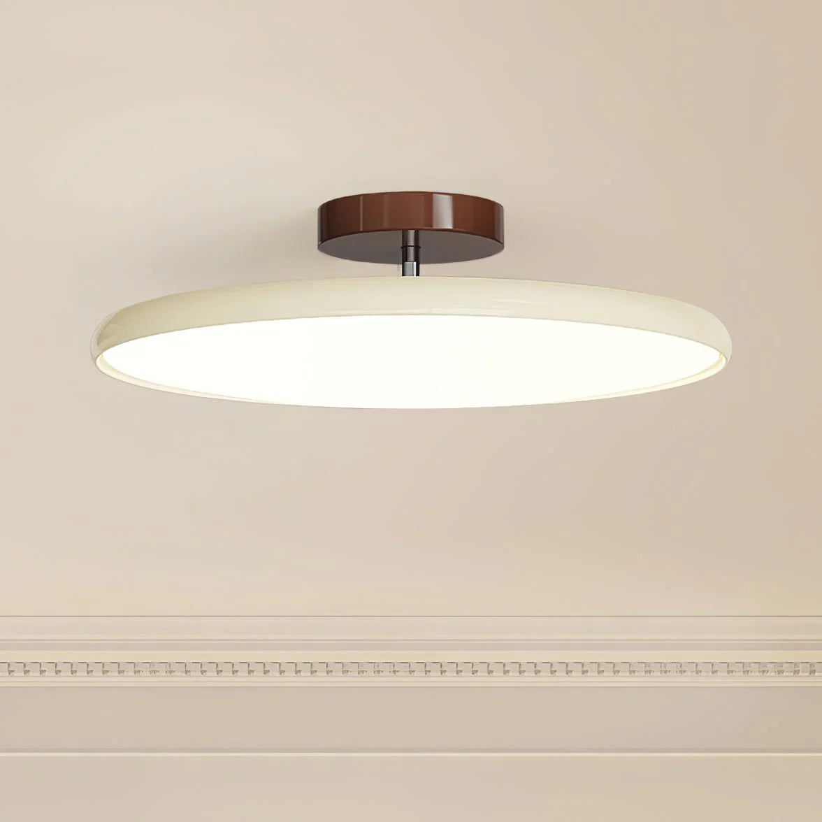Drift Adjustable Ceiling Light