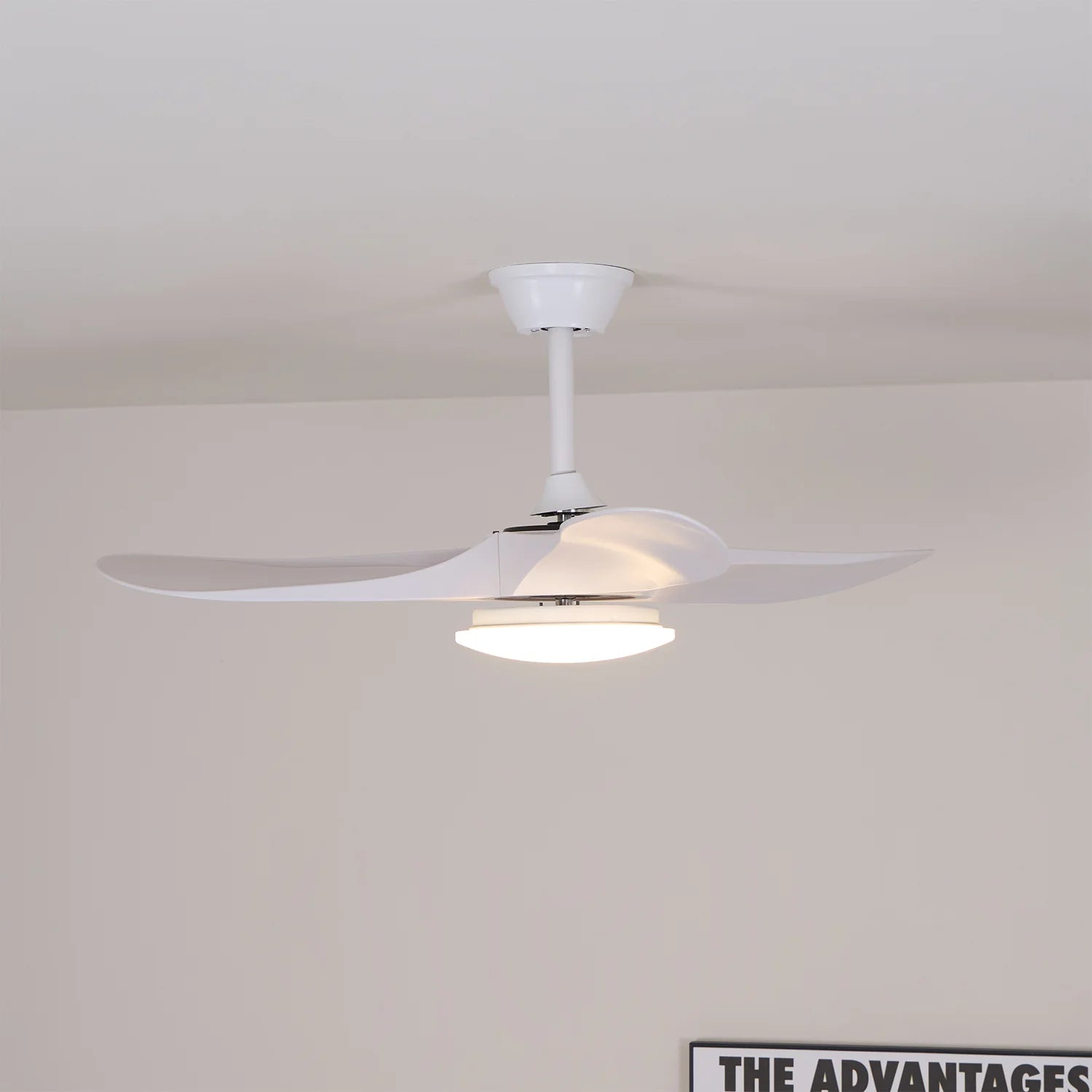 Artisan Woodgrain ABS Blade Fan Light
