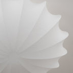 Nelson Halo Ceiling Light