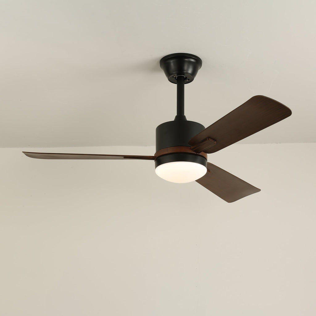 Nimora Designer Minimal Ceiling Fan Light