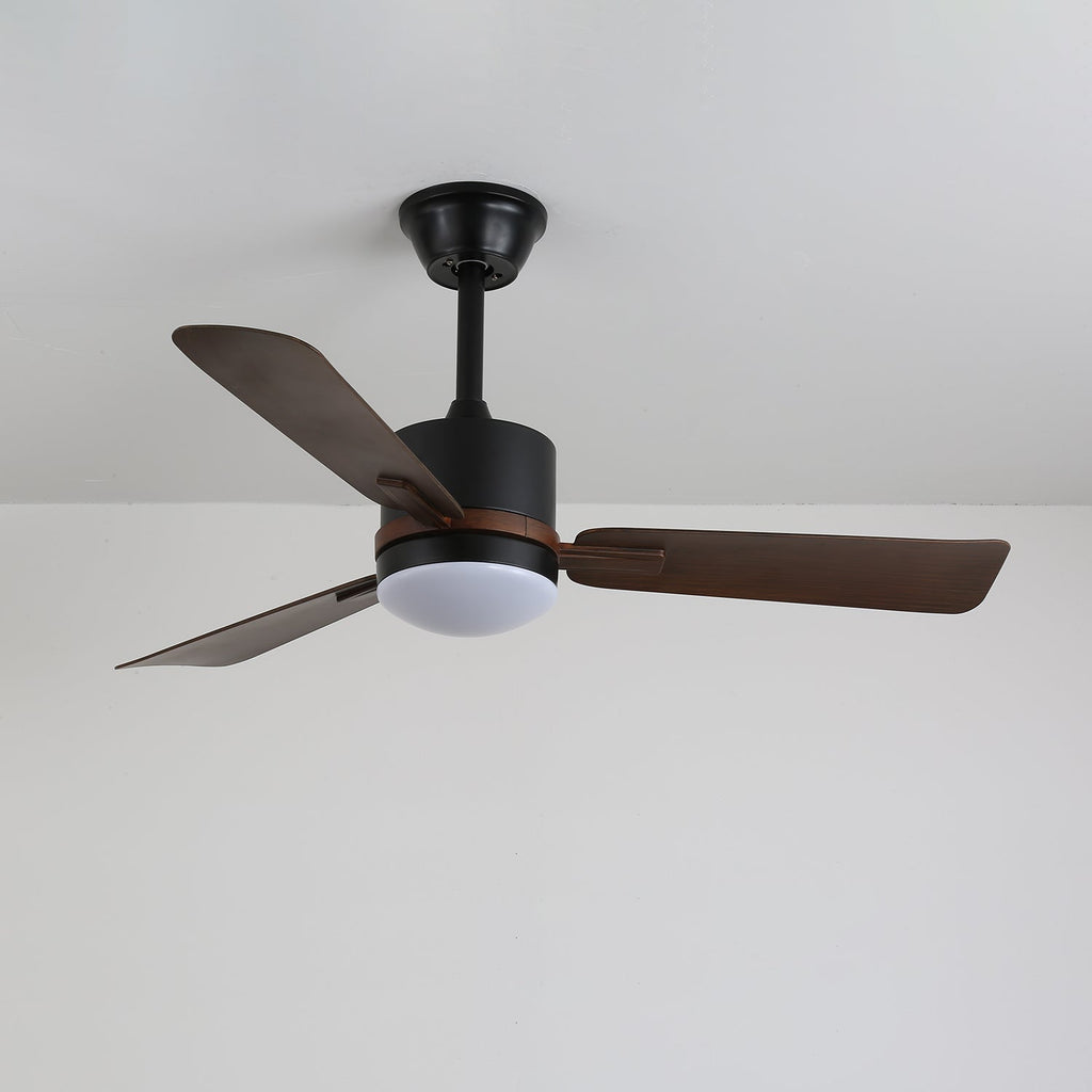 Nimora Designer Minimal Ceiling Fan Light