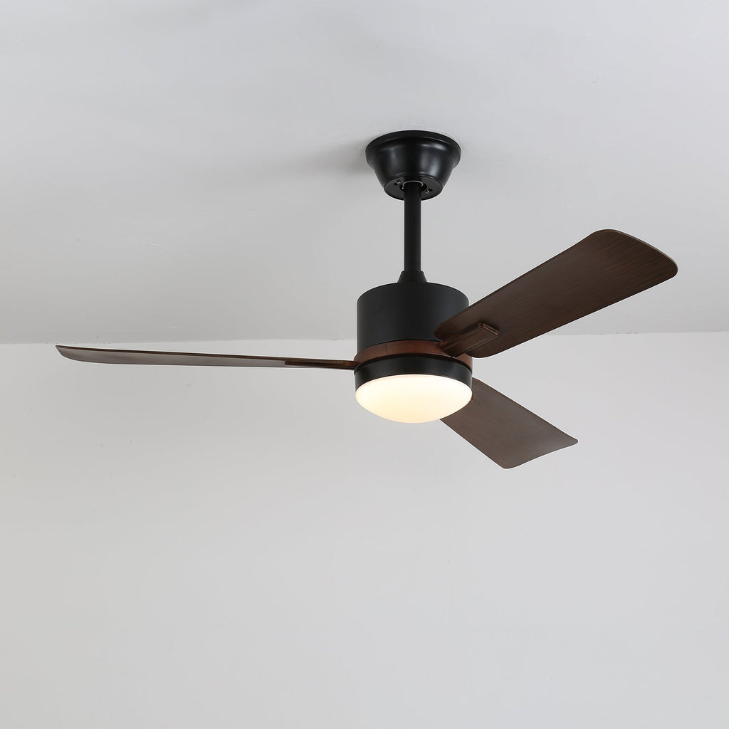 Nimora Designer Minimal Ceiling Fan Light