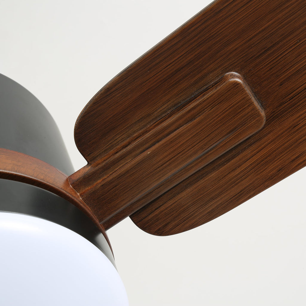 Nimora Designer Minimal Ceiling Fan Light