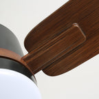 Nimora Designer Minimal Ceiling Fan Light