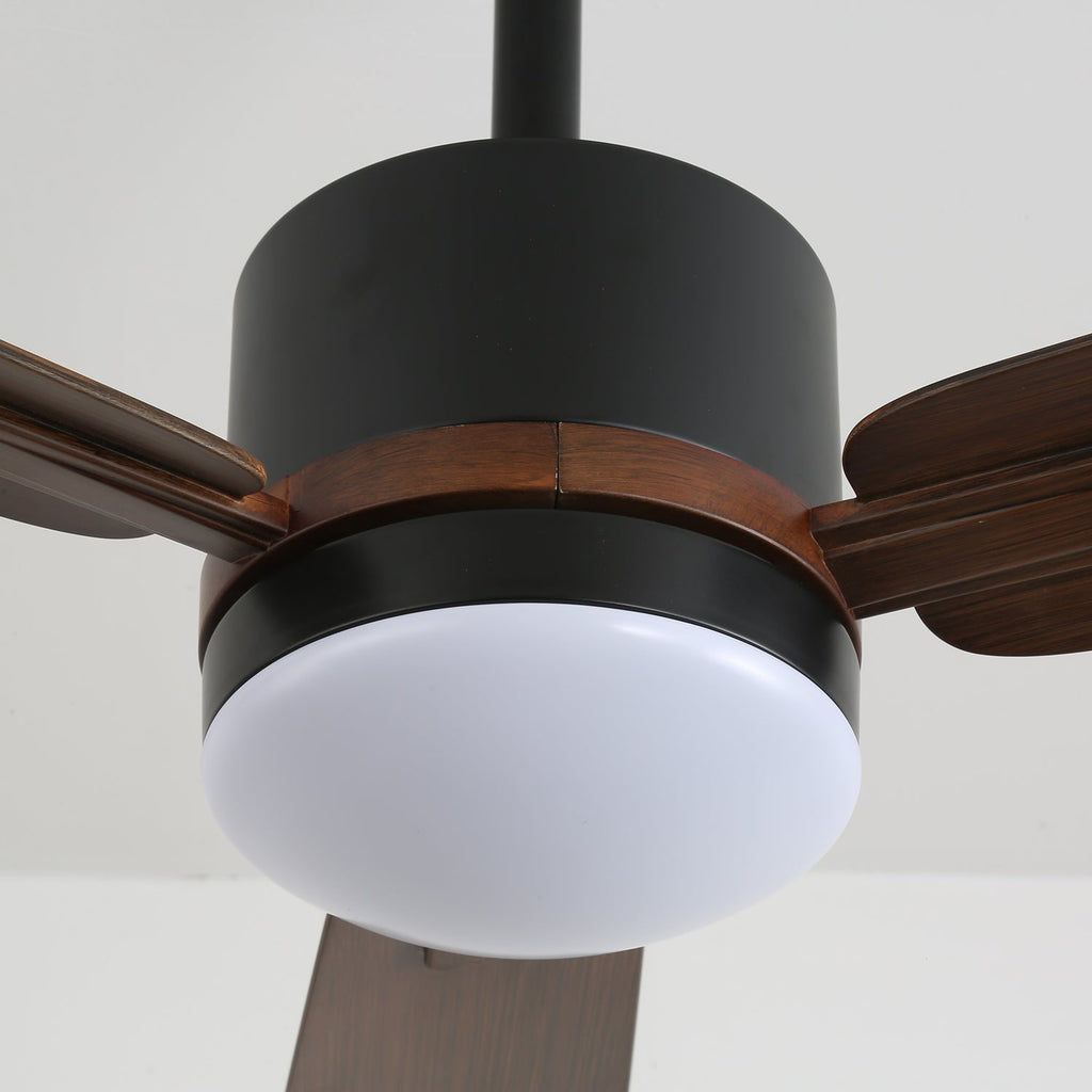 Nimora Designer Minimal Ceiling Fan Light