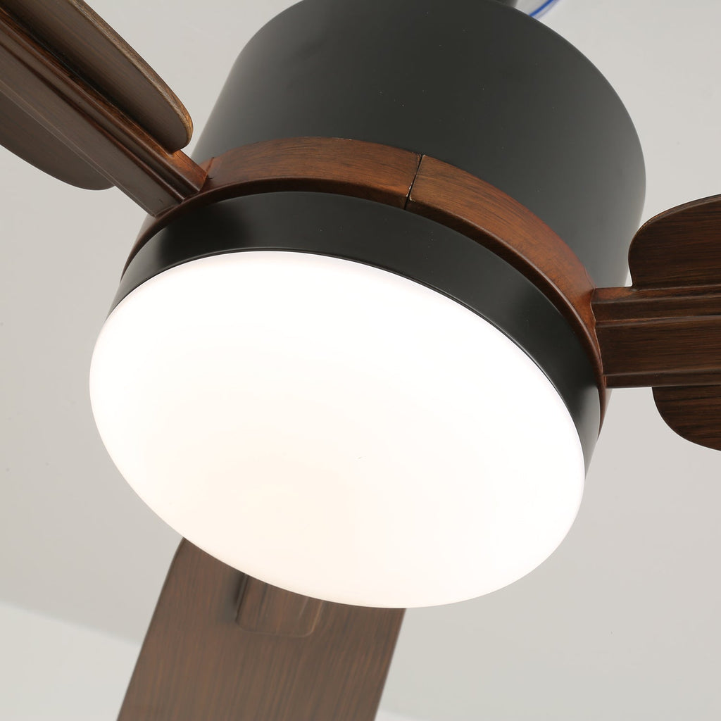 Nimora Designer Minimal Ceiling Fan Light
