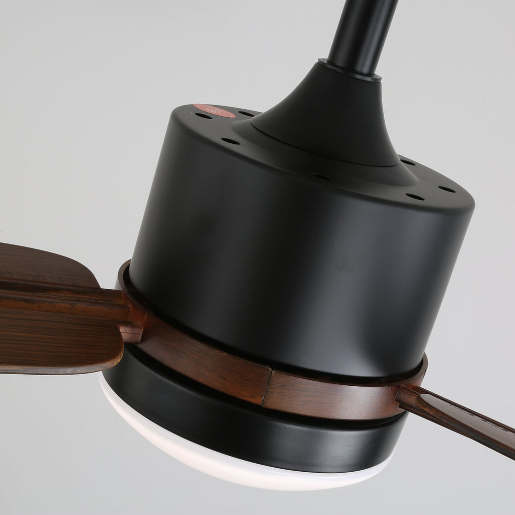 Nimora Designer Minimal Ceiling Fan Light