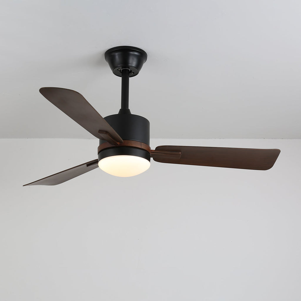 Nimora Designer Minimal Ceiling Fan Light