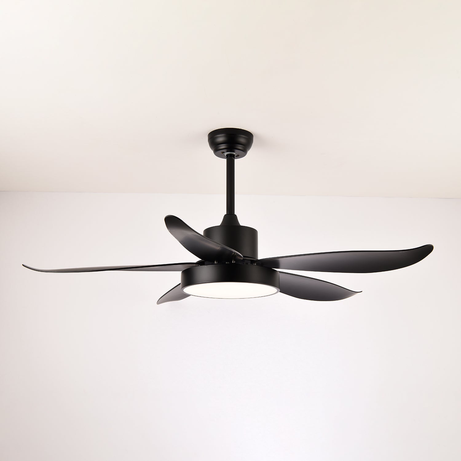 Noctura Glide Designer Black Ceiling Fan Light