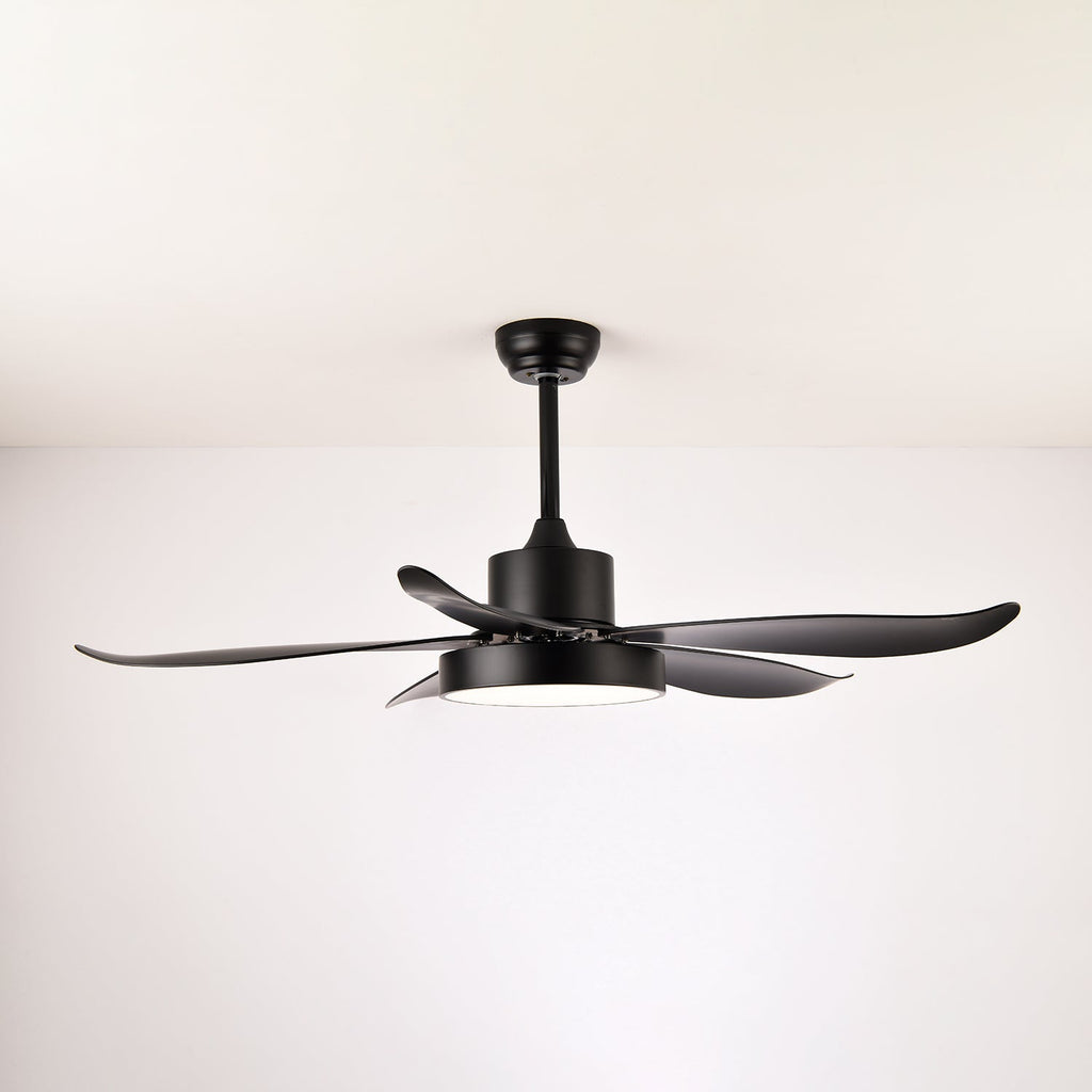 Noctura Glide Designer Black Ceiling Fan Light