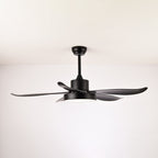 Noctura Glide Designer Black Ceiling Fan Light