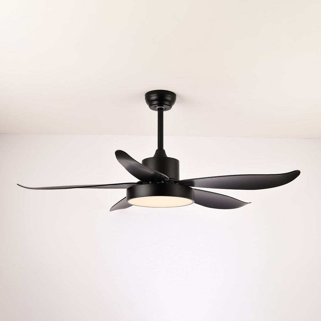 Noctura Glide Designer Black Ceiling Fan Light