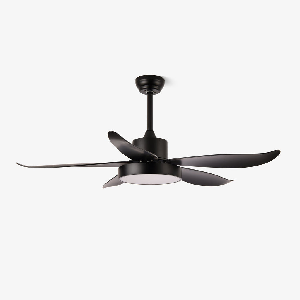 Noctura Glide Designer Black Ceiling Fan Light