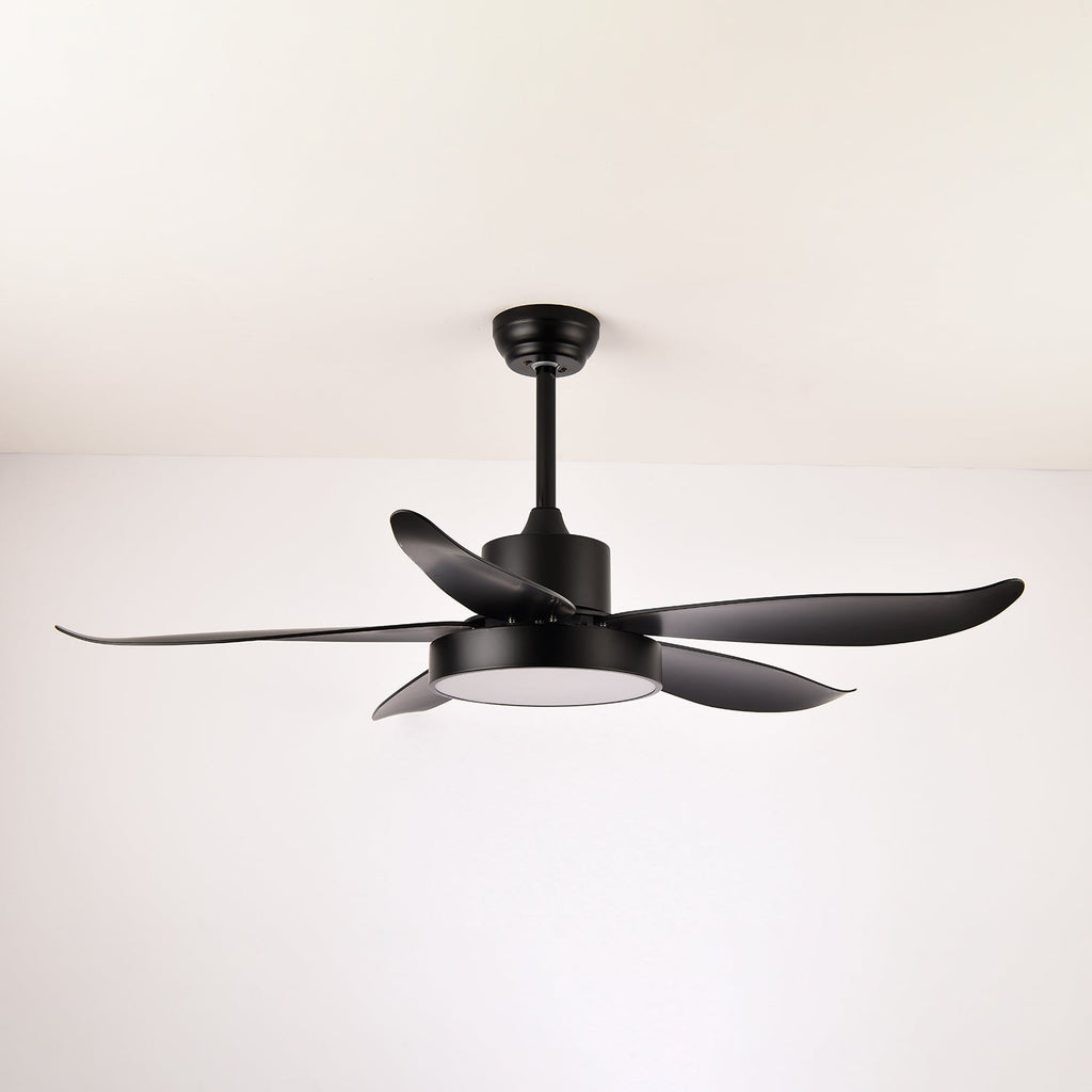 Noctura Glide Designer Black Ceiling Fan Light